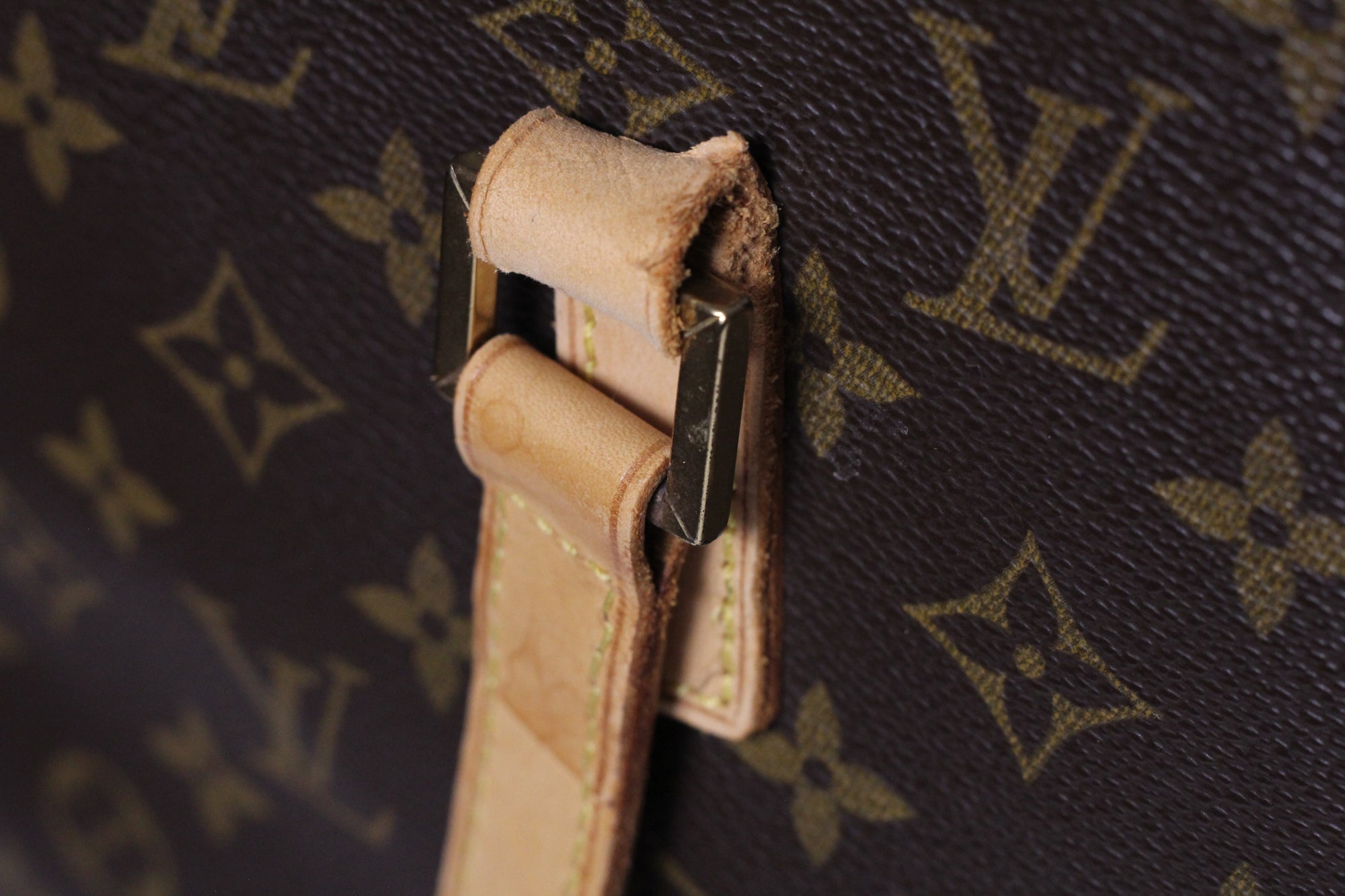 Louis Vuitton Luco Tote Bag